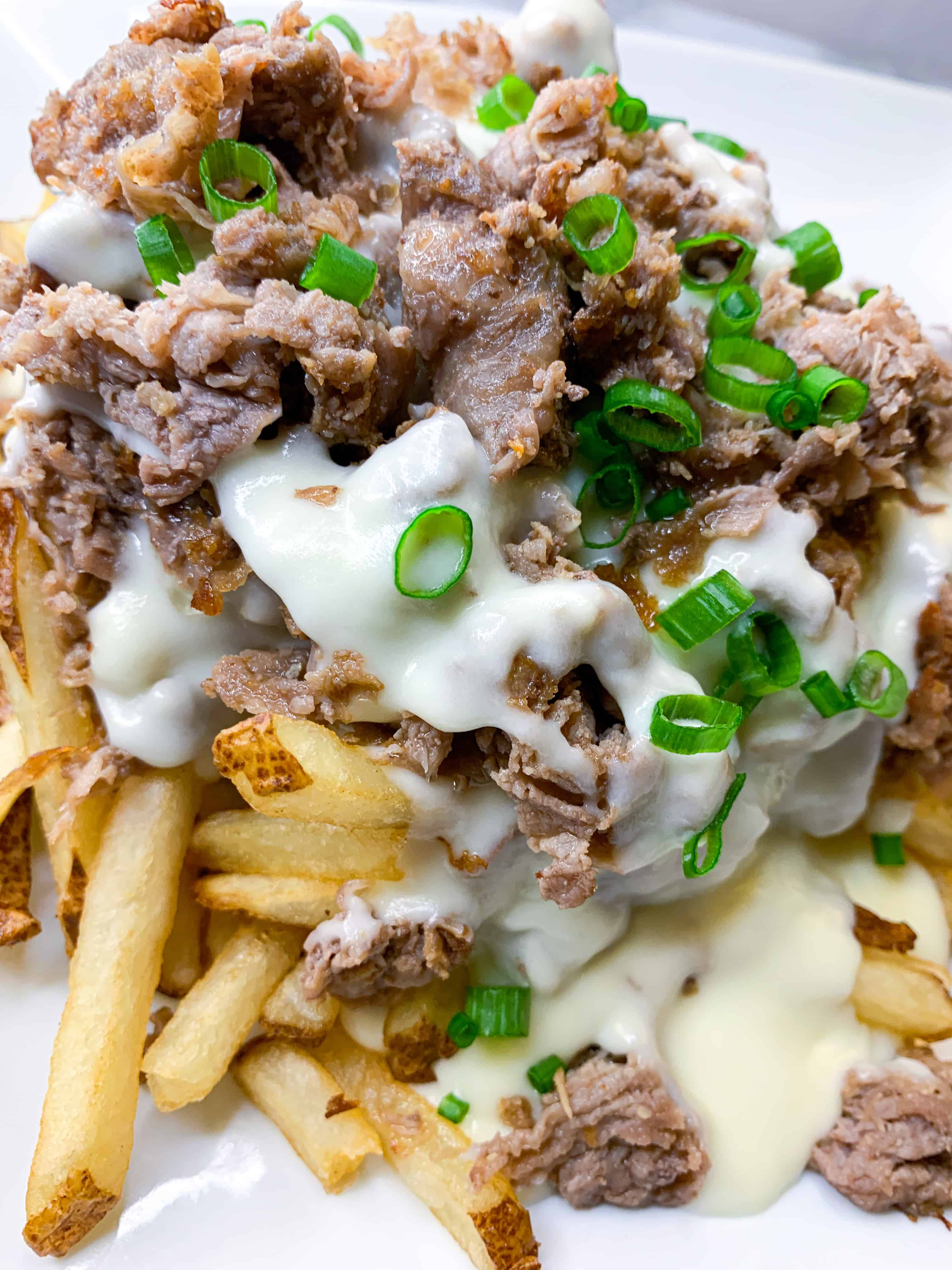 Philly Cheesesteak Fries